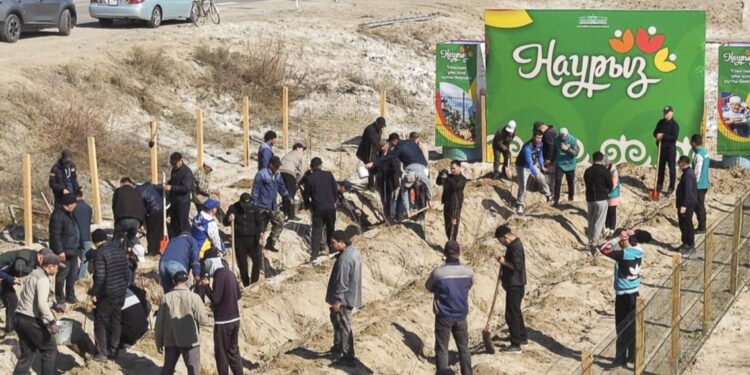 СЫРДАРИЯДА «ТАЗА ҚАЗАҚСТАН» ЭКОЛОГИЯЛЫҚ АКЦИЯСЫ АЯСЫНДА КӨШЕТТЕР ОТЫРҒЫЗЫЛДЫ