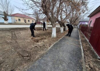 СЫРДАРИЯДА СЕНБІЛІК ЖҰМЫСТАРЫ БАСТАЛДЫ