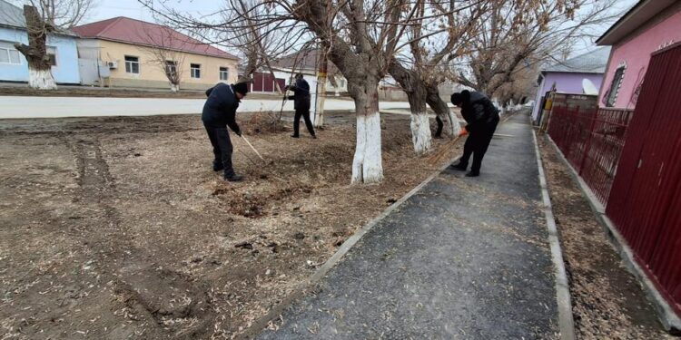 СЫРДАРИЯДА СЕНБІЛІК ЖҰМЫСТАРЫ БАСТАЛДЫ
