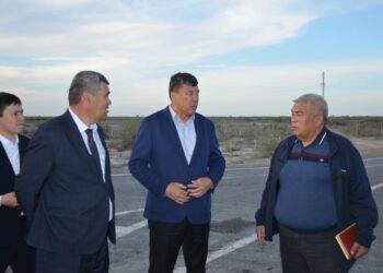 ХАЛЫҚАРАЛЫҚ АВТОДӘЛІЗ БОЙЫНДАҒЫ ТАЗАЛЫҚ ПЕН АБАТТАНДЫРУ ЖҰМЫСТАРЫ БАҚЫЛАУДА