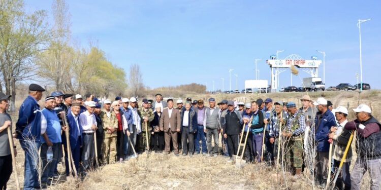 ШИЕЛІЛІК АРДАГЕРЛЕР ЭКОЛОГИЯЛЫҚ АКЦИЯДА БЕЛСЕНДІЛІК КӨРСЕТТІ