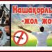 СЫРДАРИЯДА НАШАҚОРЛЫҚТЫҢ АЛДЫН АЛУҒА БАҒЫТТАЛҒАН ПРОФИЛАКТИКАЛЫҚ ШАРА ӨТТІ