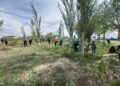 БҮГІН СЫРДАРИЯДА «ТАЗА ҚАЗАҚСТАН» АКЦИЯСЫНЫҢ НАҚТЫ НӘТИЖЕСІН КӨРСЕТТІ