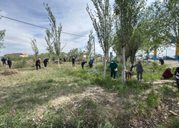 БҮГІН СЫРДАРИЯДА «ТАЗА ҚАЗАҚСТАН» АКЦИЯСЫНЫҢ НАҚТЫ НӘТИЖЕСІН КӨРСЕТТІ