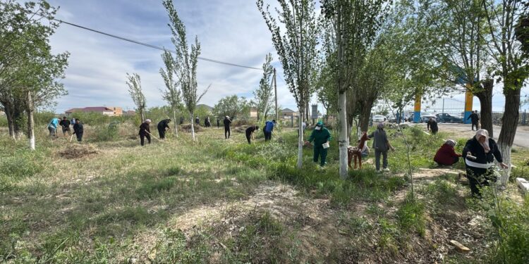 БҮГІН СЫРДАРИЯДА «ТАЗА ҚАЗАҚСТАН» АКЦИЯСЫНЫҢ НАҚТЫ НӘТИЖЕСІН КӨРСЕТТІ