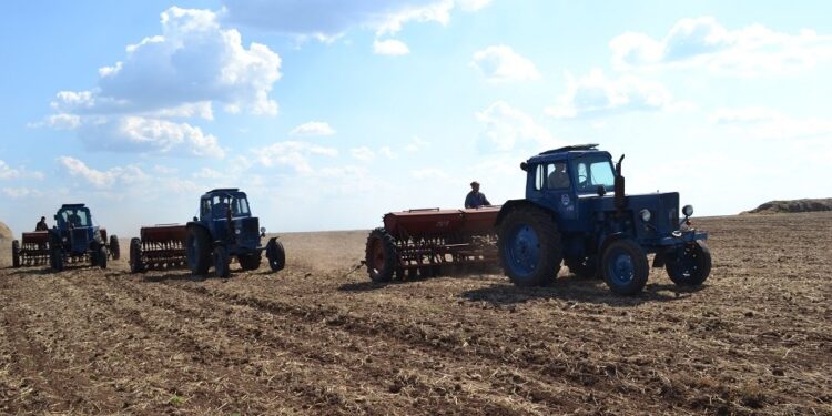 СЫРДАРИЯДА КӨКТЕМГІ ДАЛА ЖҰМЫСТАРЫ ҚАРҚЫНДЫ ЖҮРГІЗІЛУДЕ