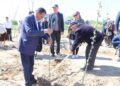 БІРЛІК ПЕН ЖАУАПКЕРШІЛІК ҮЛГІСІ. АМАНКЕЛДІДЕ 1100 КӨШЕТ ЕГІЛДІ