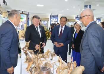 СЫРДАРИЯДА ТАРИХИ МҰРА ДӘРІПТЕЛГЕН МЕРЕКЕЛІК ІС-ШАРА ӨТТІ