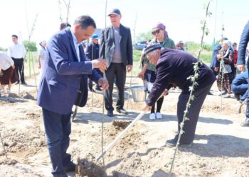 БІРЛІК ПЕН ЖАУАПКЕРШІЛІК ҮЛГІСІ. АМАНКЕЛДІДЕ 1100 КӨШЕТ ЕГІЛДІ