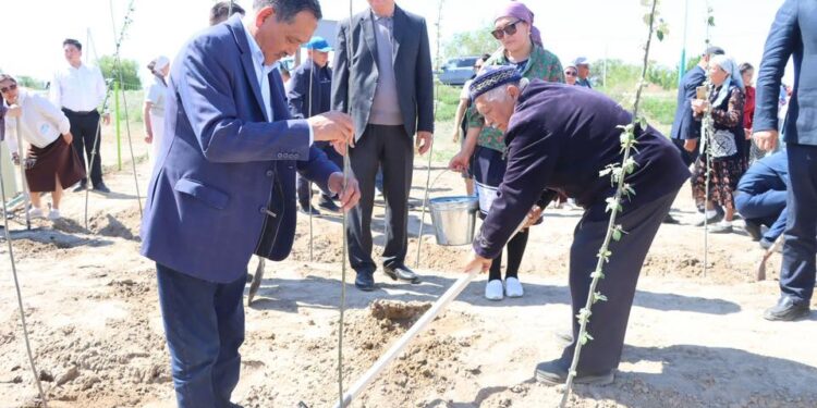 БІРЛІК ПЕН ЖАУАПКЕРШІЛІК ҮЛГІСІ. АМАНКЕЛДІДЕ 1100 КӨШЕТ ЕГІЛДІ