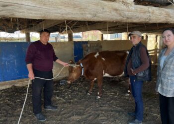 СЫРДАРИЯДА АУЫЛ ШАРУАШЫЛЫҒЫ ЖАНУАРЛАРЫ ИЕЛЕРІНЕ ЖОЛ ҚАУІПСІЗДІГІ ТАЛАПТАРЫ ТҮСІНДІРІЛДІ